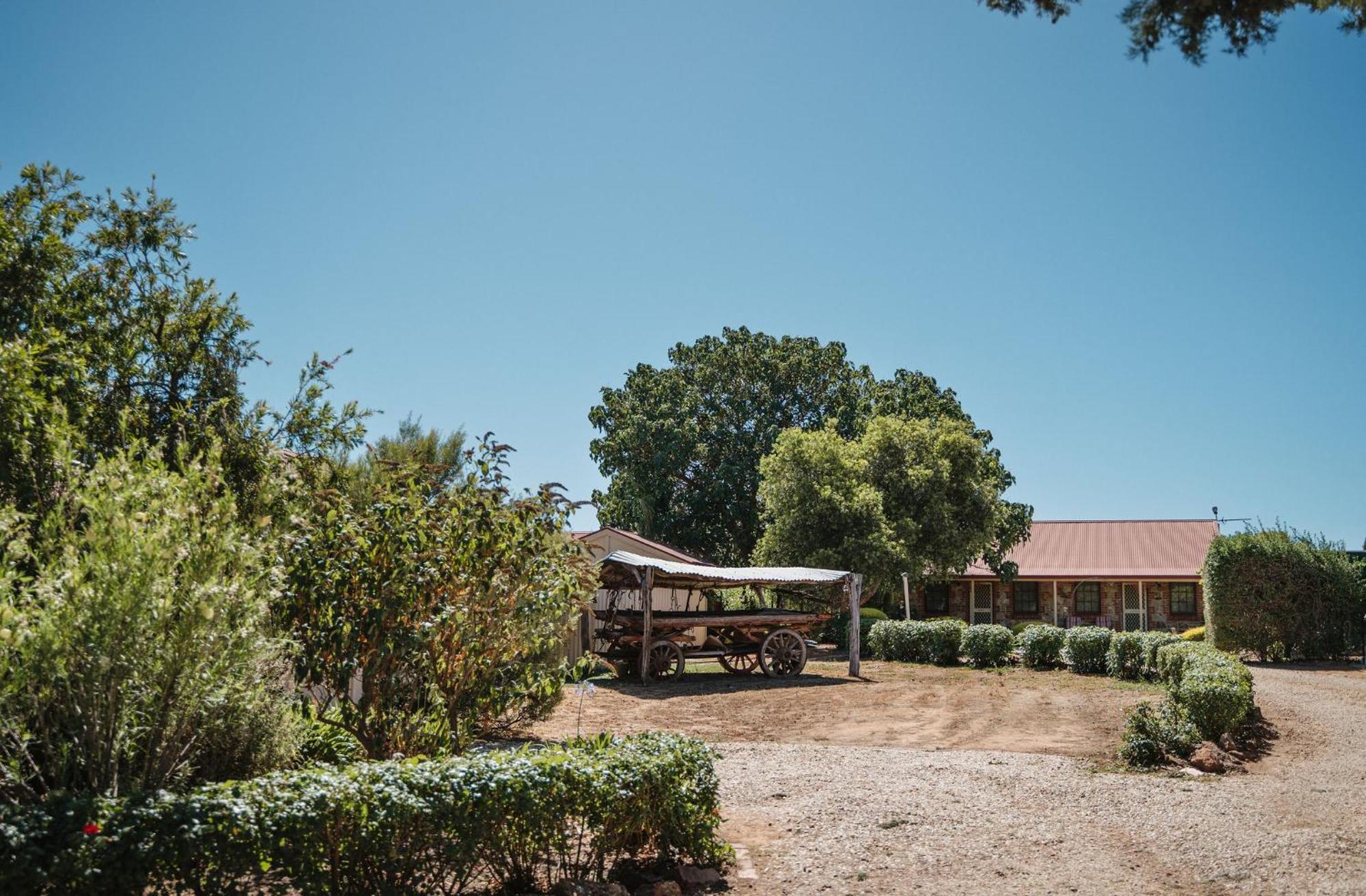 Langmeil Cottages Tanunda Ngoại thất bức ảnh